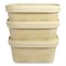 World Centric No Tree Rectangular Containers, 32 oz, 4.7 x 6.8 x 3, Natural, Sugarcane, 300PK CT-NT-32 - alternate 4